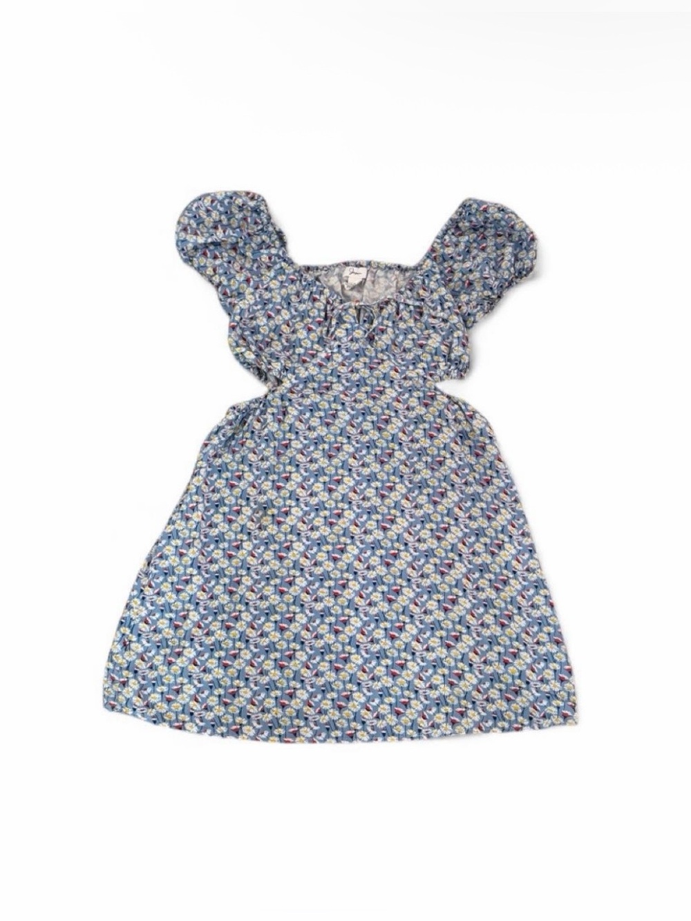 Japna Blue Floral Puff-Sleeve Mini Dress with Square Neck